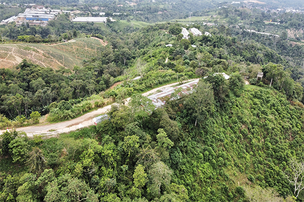 Finca sembrada en piña y cacao y con galpones para 20.000 gallinas 