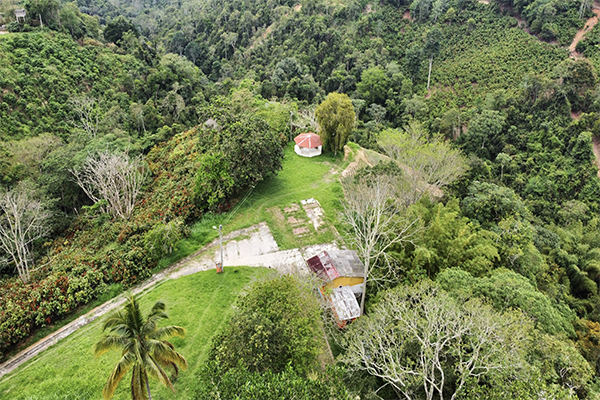 Finca sembrada en piña y cacao y con galpones para 20.000 gallinas 