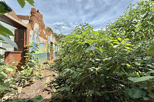 EL MEJOR LOTE DEL CORAZON HISTORICO DE BUCARAMANGA