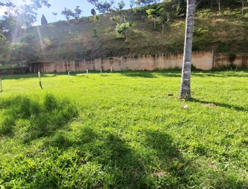 LOTES ESPECTACULARES CON UBICACIÓN PRIVILEGIADA 