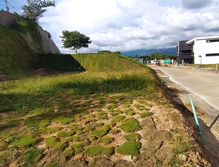 LOTES ESPECTACULARES CON UBICACIÓN PRIVILEGIADA 