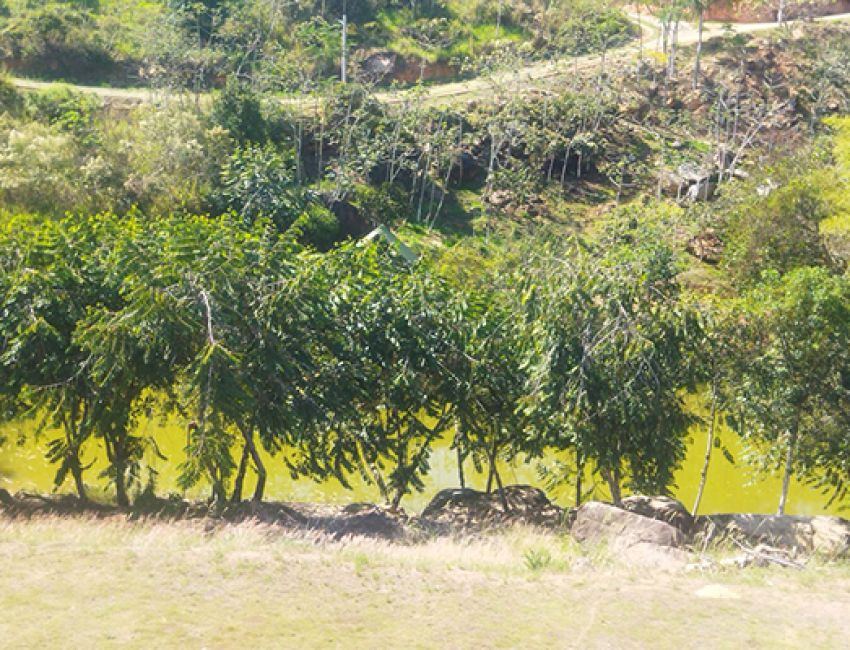 LOTE PARA CONSTRUIIR