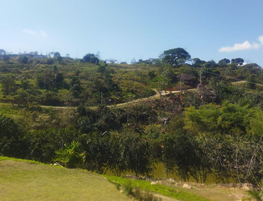 LOTE PARA CONSTRUIIR