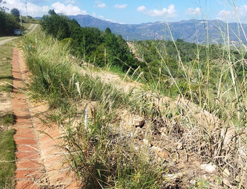 LOTE PARA CONSTRUIIR