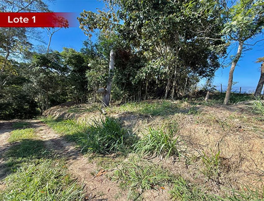 INVIERTE EN LEBRIJA, CONSTRUYE TU CABAÑA Y DISFRUTA LA NATURALEZA. 