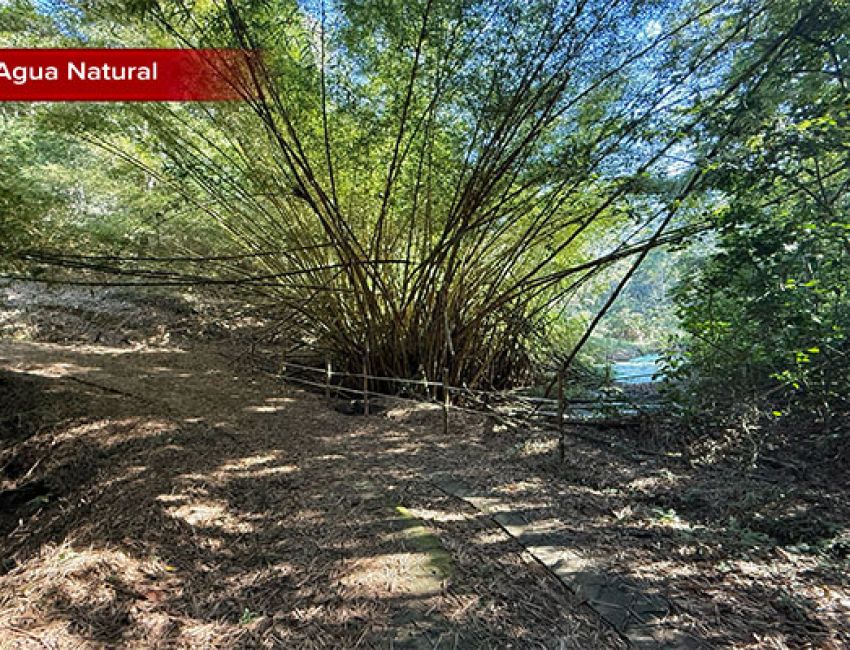 IDEAL PARA INVERSION LOTE EN LEBRIJA