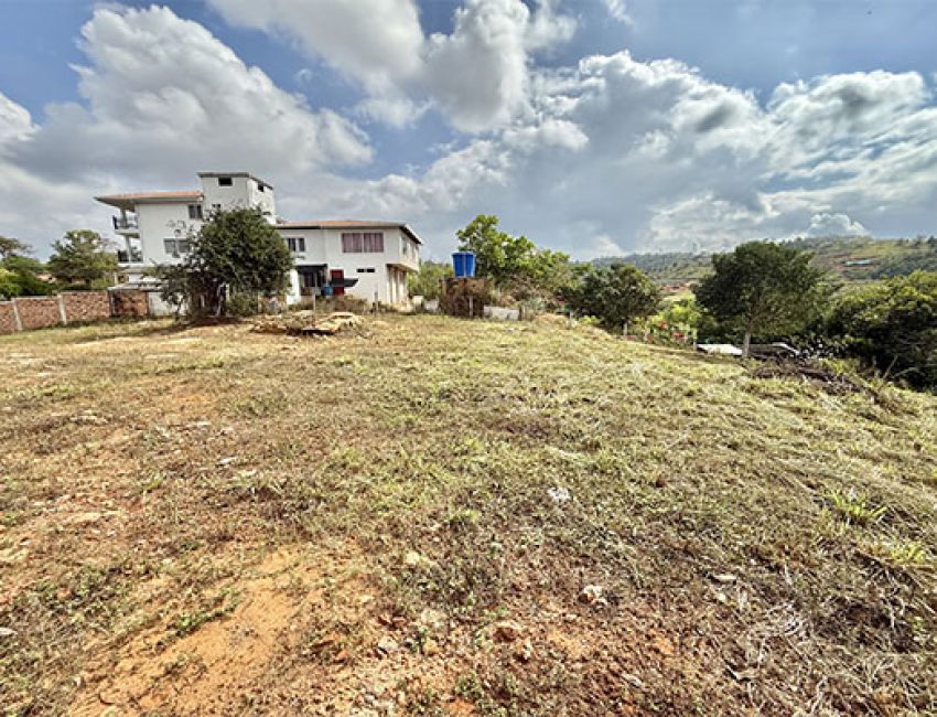 ¡¡LOTE DE OPORTUNIDAD!!