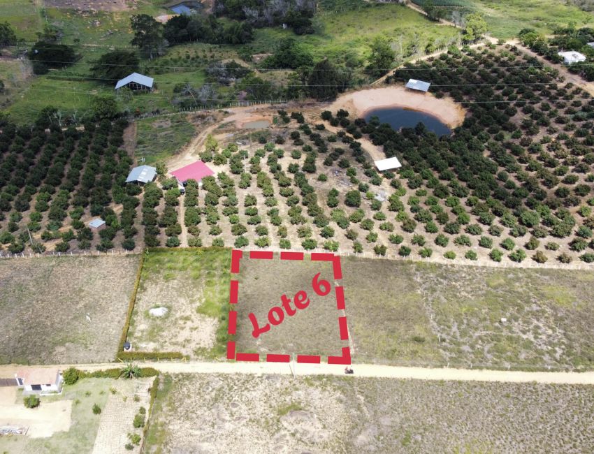 Lote plano de 1000 m² en Los Santos, a 20 min del mercado campesino. 