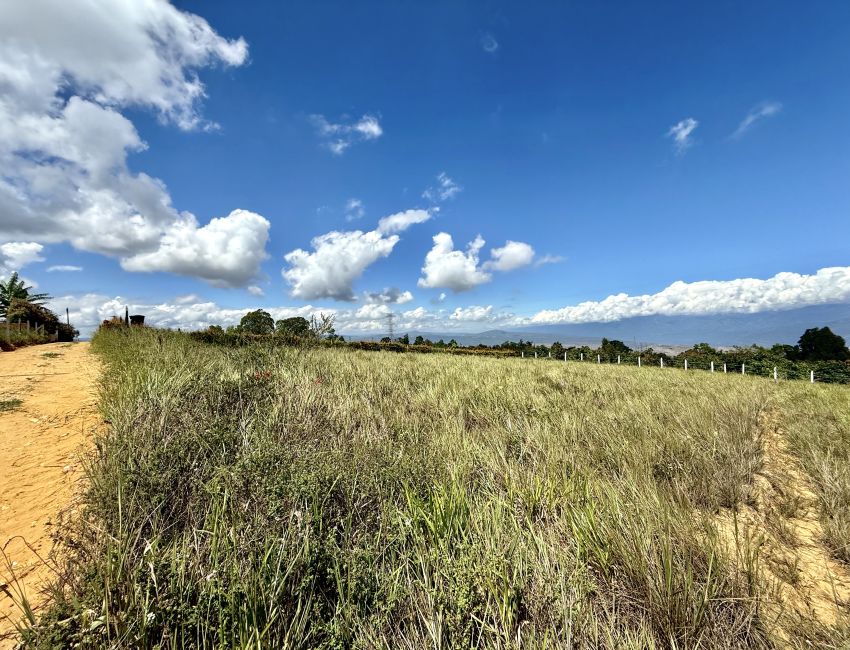 Lote plano de 1000 m² en Los Santos, a 20 min del mercado campesino. 