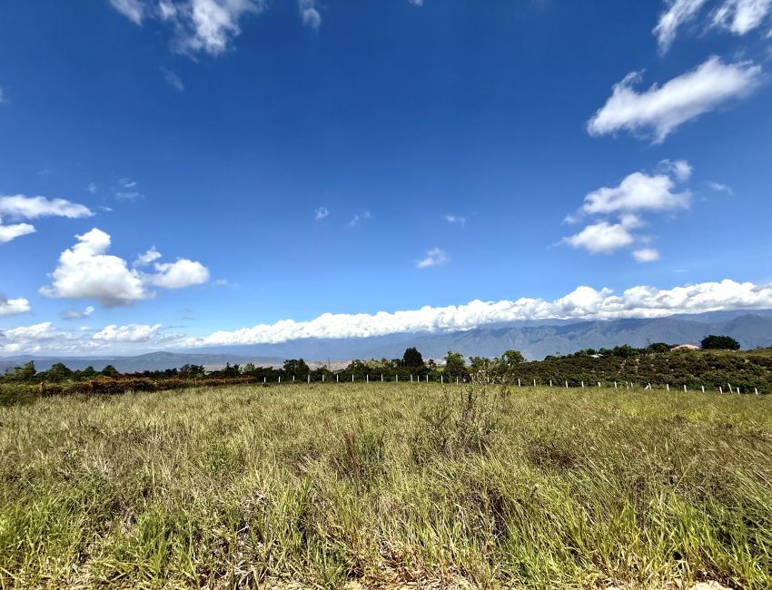 Lote plano de 1000 m² en Los Santos, a 20 min del mercado campesino. 