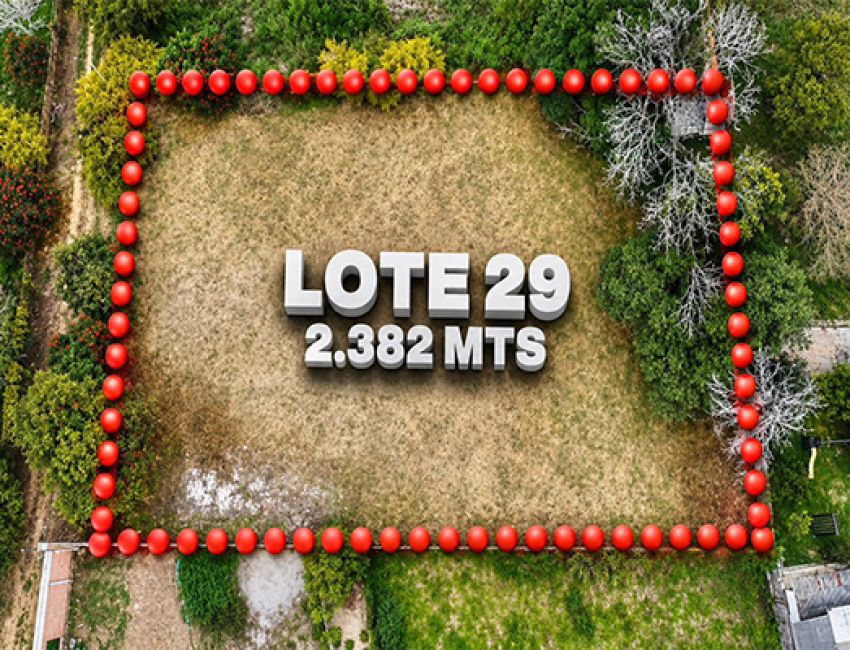 lote apto para vivienda con gran arborizasion 