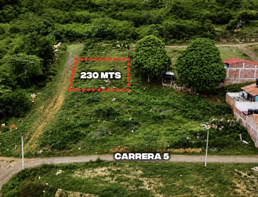 ¡¡LOTE CAMPESTRE EN EL CORAZON DE GUANE!! 