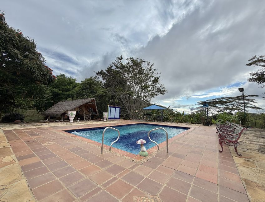 Parcela frutal con piscina para construir casa y descansar