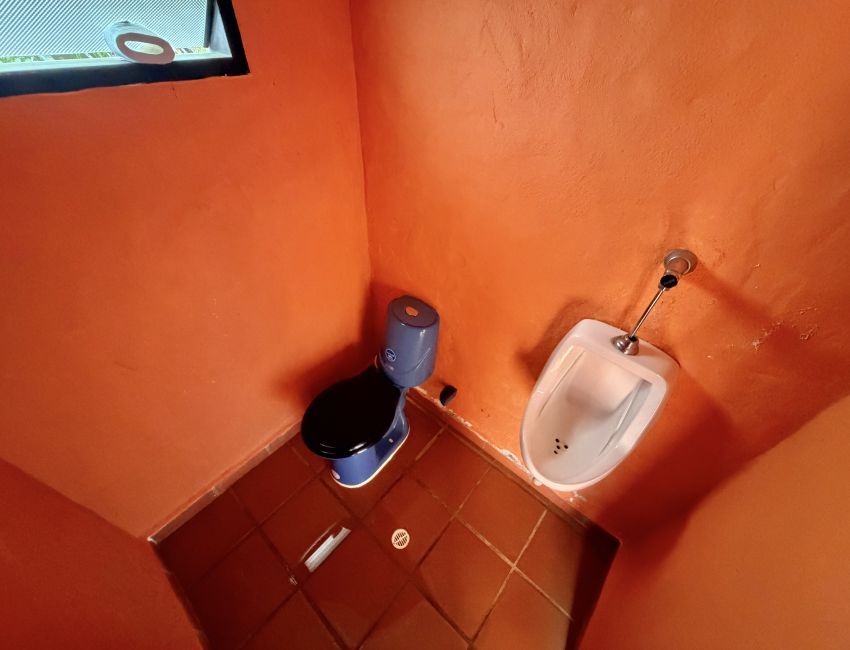 Parcela frutal con piscina para construir casa y descansar