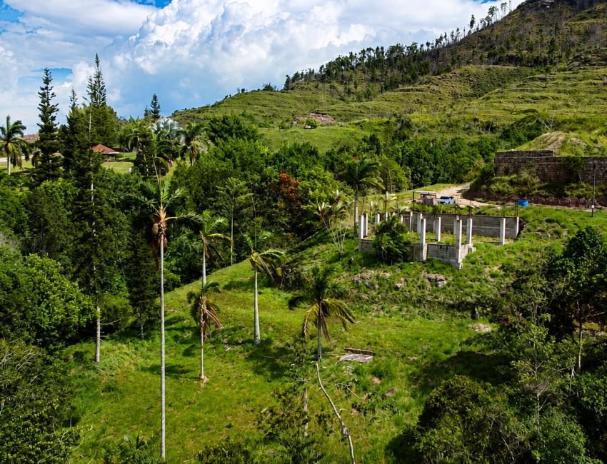 2000 m2 para hacer tu casa, con bosque y super vista