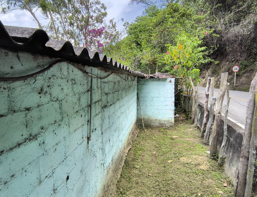🌿 ¡Una finca para producir, invertir y disfrutar de la naturaleza! 🏡