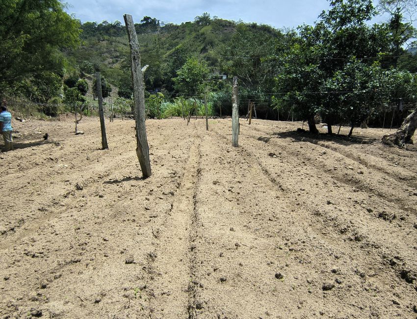 🌿 ¡Una finca para producir, invertir y disfrutar de la naturaleza! 🏡